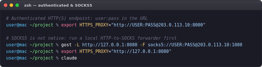 Secure AI proxy connection
