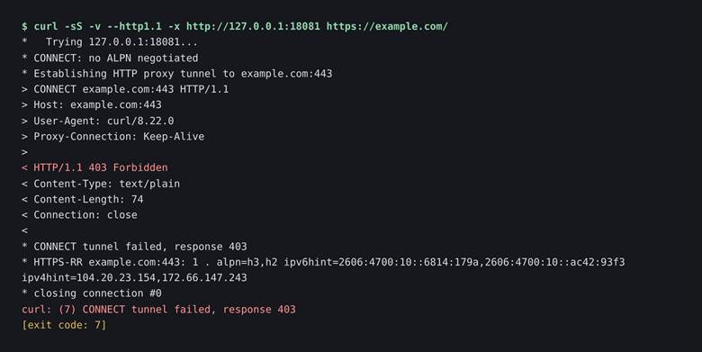 Testing proxy connectivity