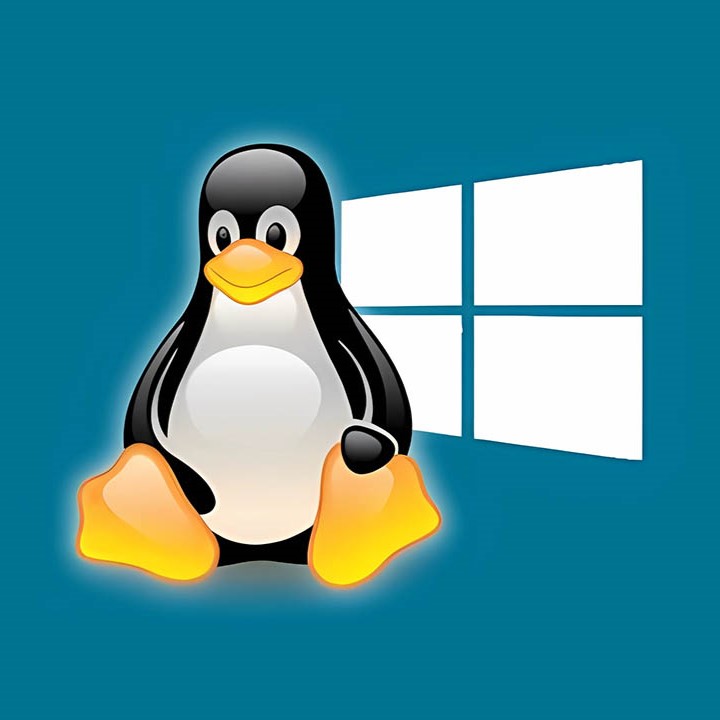 linux windows