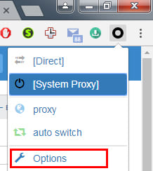 How to set up a proxy in Google Chrome: standard method and with extension