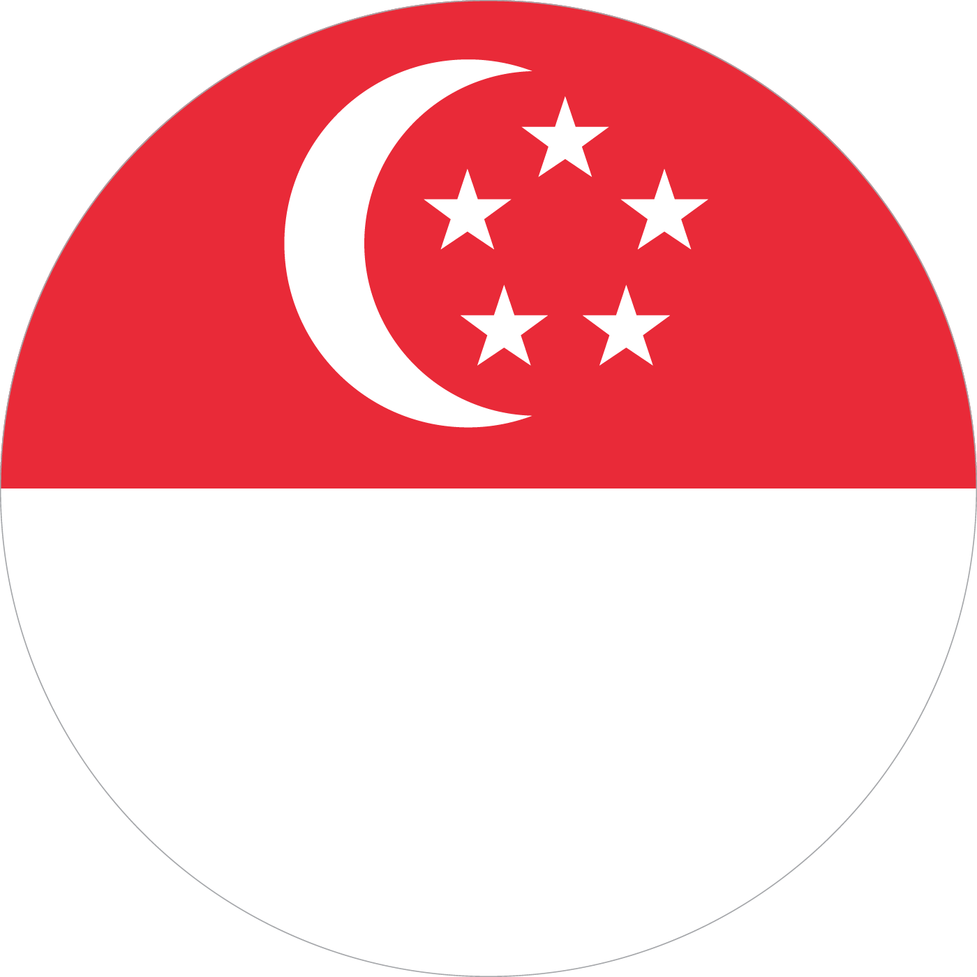 新加坡代理服务器