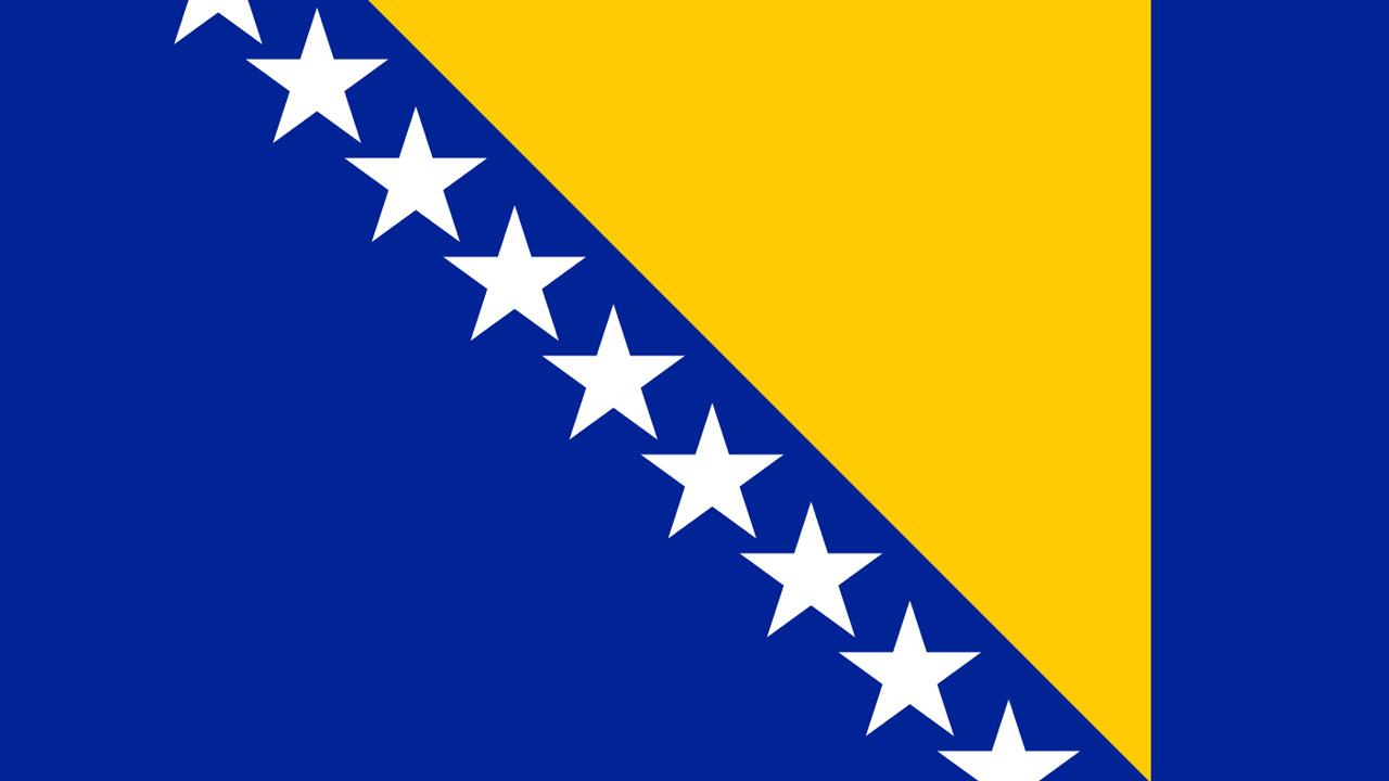 прокси Боснии и Герцеговины