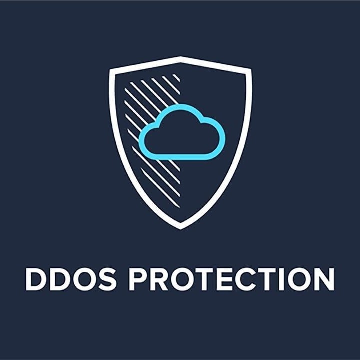 ddos protection