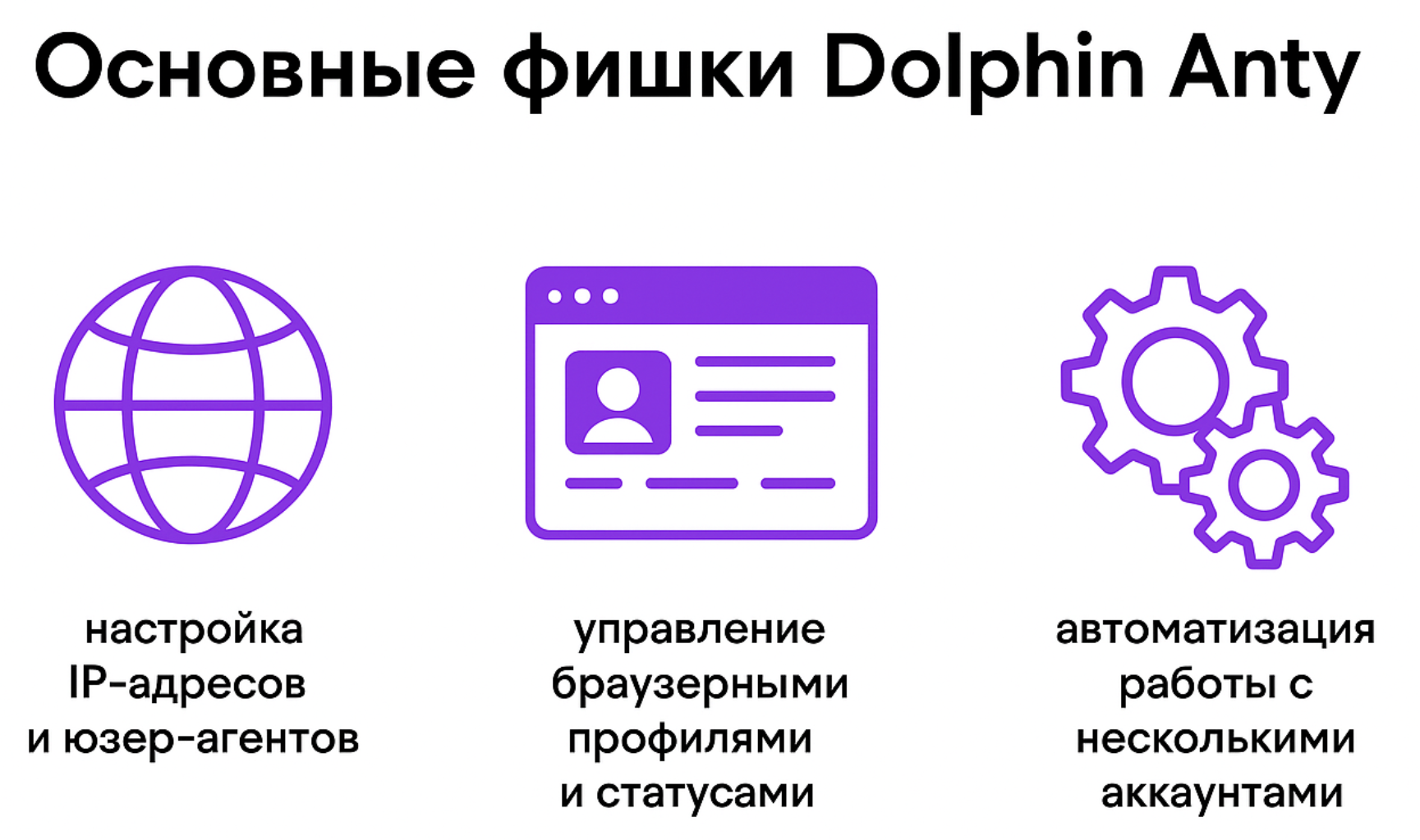 Dolphin
