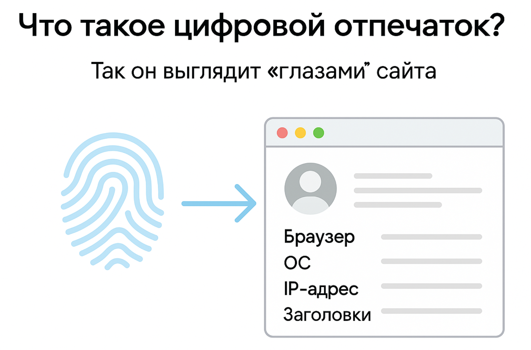 Dolphin новый отпечаток
