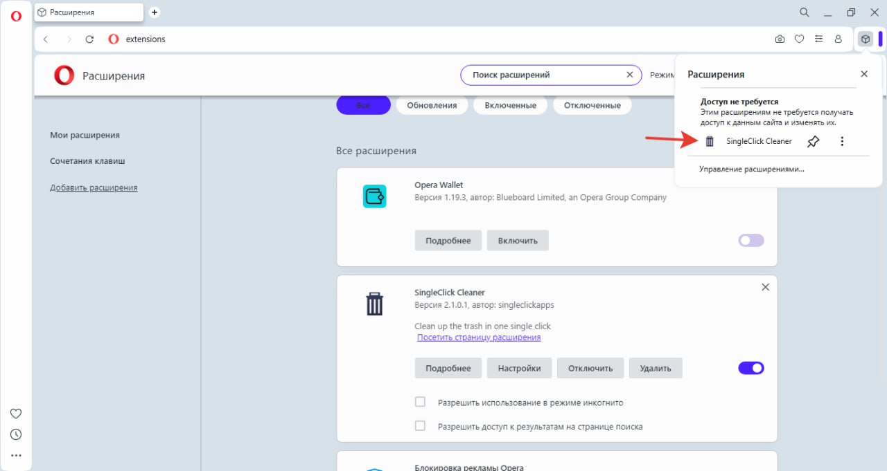 история в опере